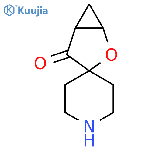 2-Oxaspiro[bicyclo[3.1.0]hexane-3,4'-piperidine]-4-one structure