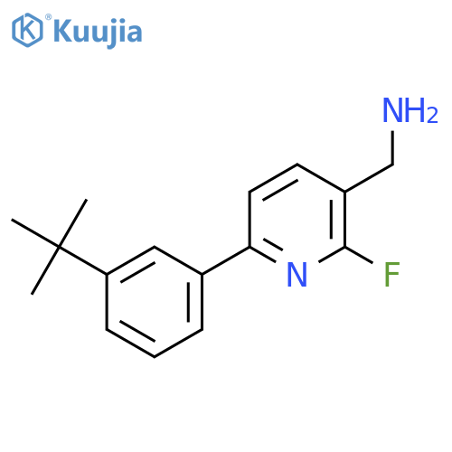 6-(3-tert-butylphenyl)-2-fluoropyridin-3-ylmethanamine structure