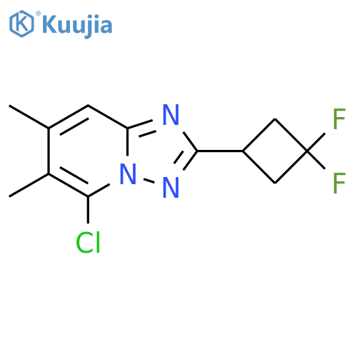 5-chloro-2-(3,3-difluorocyclobutyl)-6,7-dimethyl-1,2,4triazolo1,5-apyridine structure