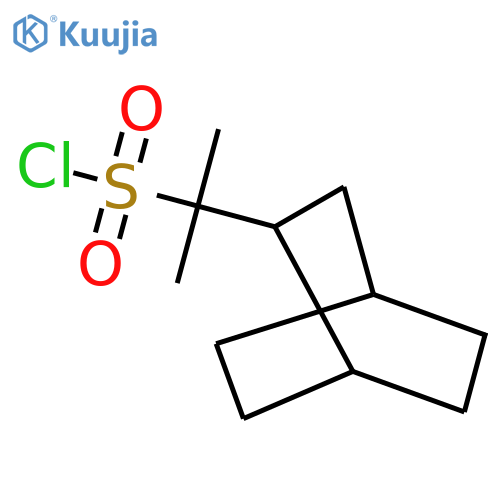 2-{bicyclo2.2.2octan-2-yl}propane-2-sulfonyl chloride structure