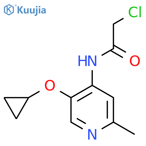 2-chloro-N-(5-cyclopropoxy-2-methylpyridin-4-yl)acetamide structure