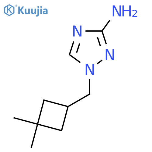 1-(3,3-dimethylcyclobutyl)methyl-1H-1,2,4-triazol-3-amine structure
