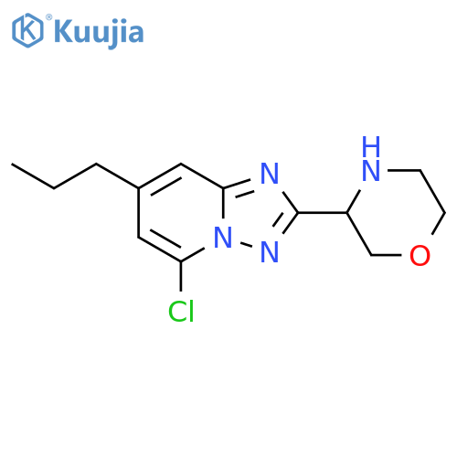 3-{5-chloro-7-propyl-1,2,4triazolo1,5-apyridin-2-yl}morpholine structure