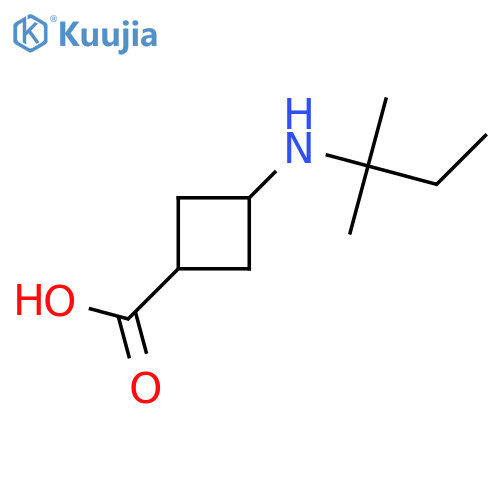 3-(2-methylbutan-2-yl)aminocyclobutane-1-carboxylic acid structure
