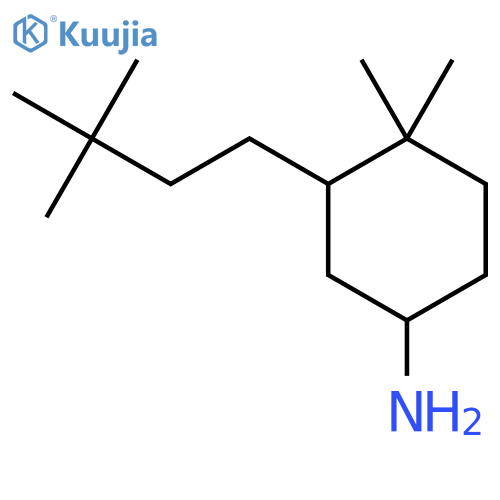 3-(3,3-Dimethylbutyl)-4,4-dimethylcyclohexan-1-amine structure