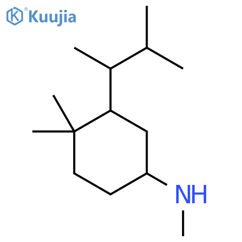 N,4,4-trimethyl-3-(3-methylbutan-2-yl)cyclohexan-1-amine structure