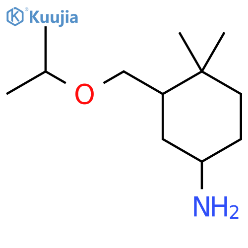 4,4-Dimethyl-3-[(propan-2-yloxy)methyl]cyclohexan-1-amine structure