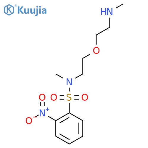 N-methyl-N-{2-[2-(methylamino)ethoxy]ethyl}-2-nitrobenzene-1-sulfonamide structure