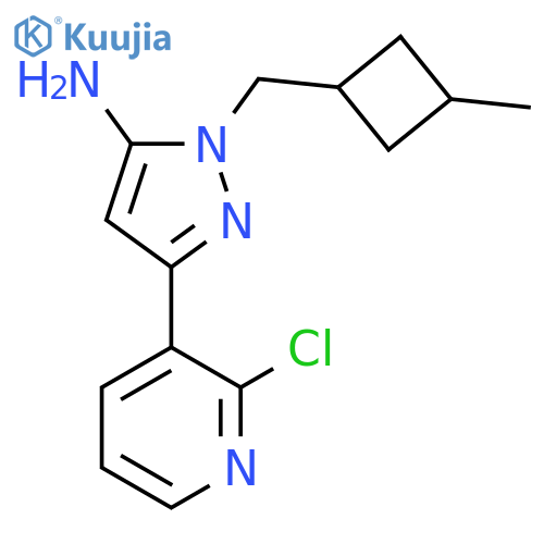 3-(2-chloropyridin-3-yl)-1-(3-methylcyclobutyl)methyl-1H-pyrazol-5-amine structure