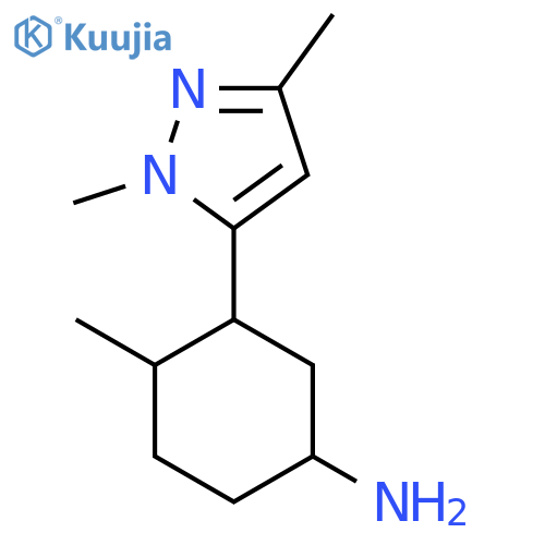 3-(1,3-dimethyl-1H-pyrazol-5-yl)-4-methylcyclohexan-1-amine structure