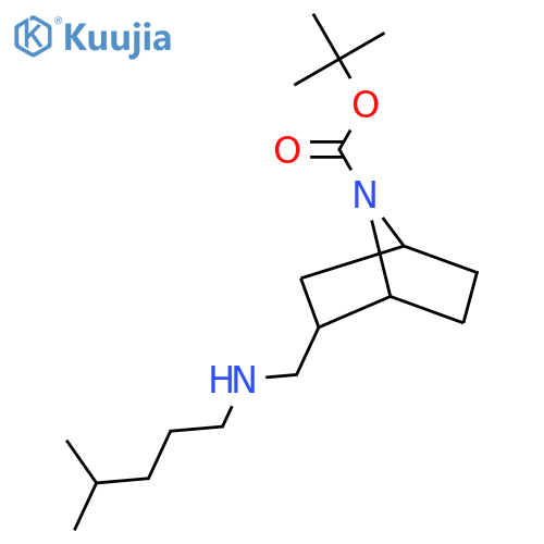 tert-butyl 2-{(4-methylpentyl)aminomethyl}-7-azabicyclo2.2.1heptane-7-carboxylate structure