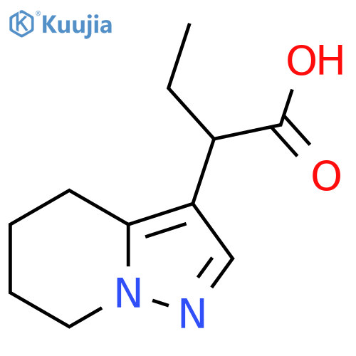 2-{4H,5H,6H,7H-pyrazolo1,5-apyridin-3-yl}butanoic acid structure