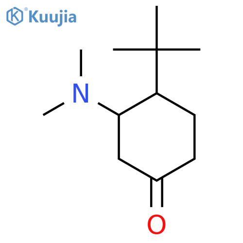 4-Tert-butyl-3-(dimethylamino)cyclohexan-1-one structure