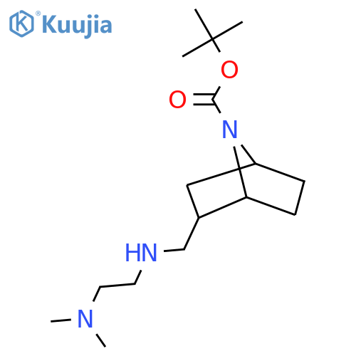 tert-butyl 2-({2-(dimethylamino)ethylamino}methyl)-7-azabicyclo2.2.1heptane-7-carboxylate structure