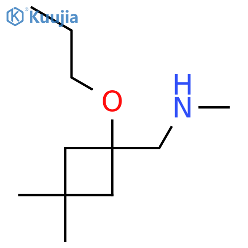 (3,3-dimethyl-1-propoxycyclobutyl)methyl(methyl)amine structure