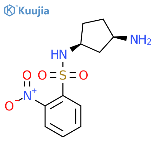 rac-N-(1R,3S)-3-aminocyclopentyl-2-nitrobenzene-1-sulfonamide structure