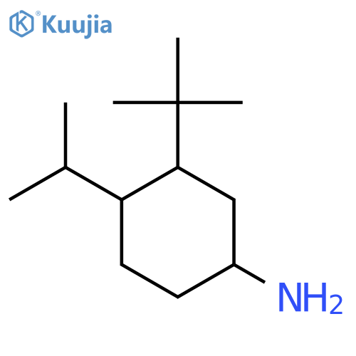 3-Tert-butyl-4-(propan-2-yl)cyclohexan-1-amine structure