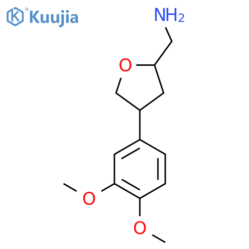 [4-(3,4-Dimethoxyphenyl)oxolan-2-yl]methanamine structure
