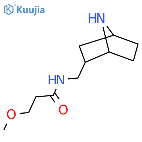N-({7-azabicyclo[2.2.1]heptan-2-yl}methyl)-3-methoxypropanamide structure