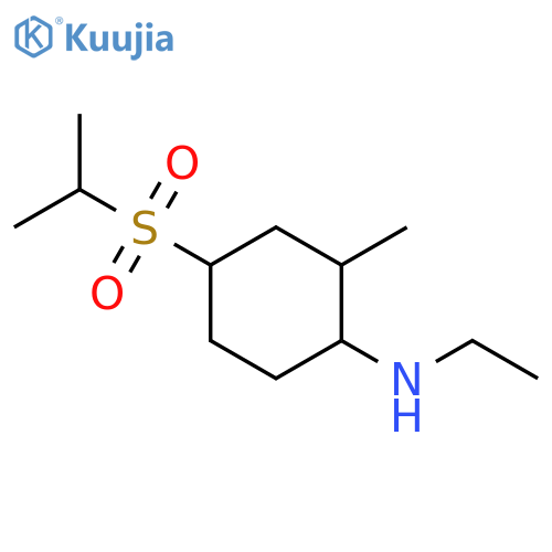 Cyclohexanamine, N-ethyl-2-methyl-4-[(1-methylethyl)sulfonyl]- structure