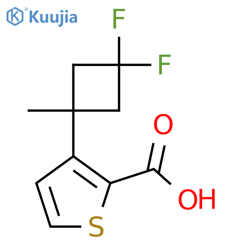 3-(3,3-Difluoro-1-methylcyclobutyl)thiophene-2-carboxylic acid structure