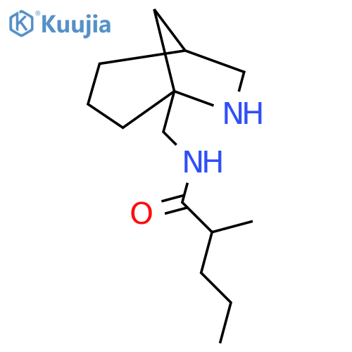 N-({6-azabicyclo[3.2.1]octan-5-yl}methyl)-2-methylpentanamide structure