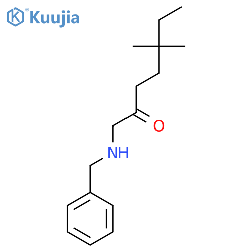 1-(Benzylamino)-5,5-dimethylheptan-2-one structure