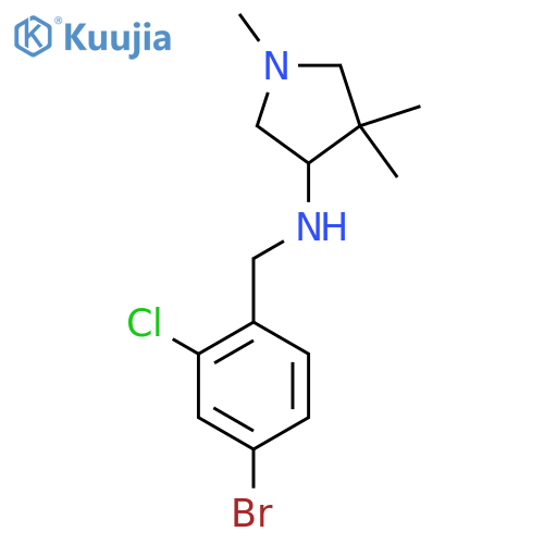 N-[(4-bromo-2-chlorophenyl)methyl]-1,4,4-trimethylpyrrolidin-3-amine structure
