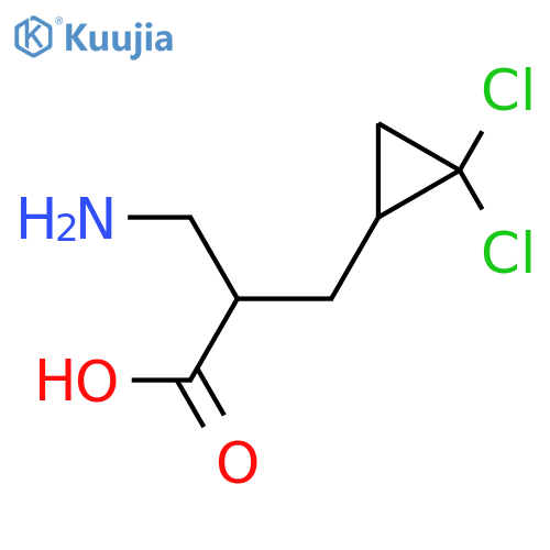 3-amino-2-(2,2-dichlorocyclopropyl)methylpropanoic acid structure