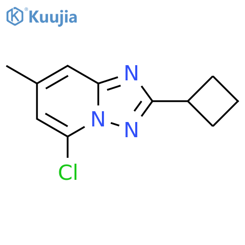 5-chloro-2-cyclobutyl-7-methyl-1,2,4triazolo1,5-apyridine structure