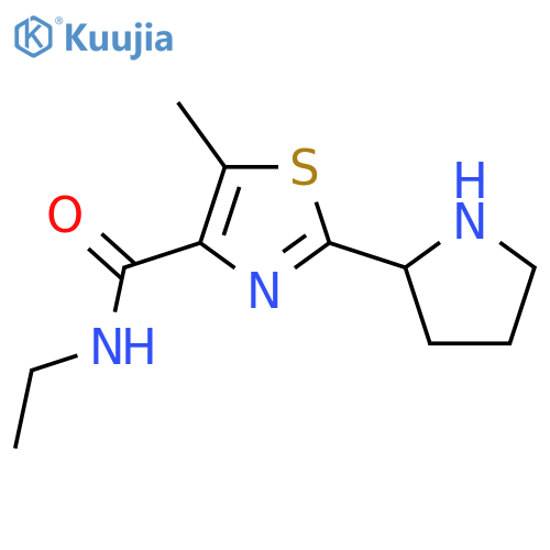 N-ethyl-5-methyl-2-(pyrrolidin-2-yl)-1,3-thiazole-4-carboxamide structure