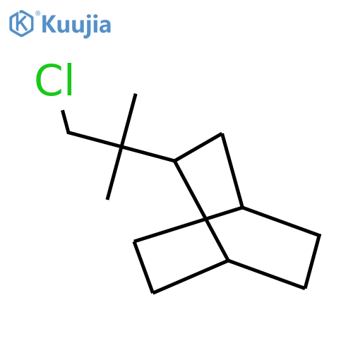 2-(1-chloro-2-methylpropan-2-yl)bicyclo2.2.2octane structure