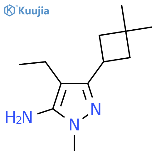 3-(3,3-dimethylcyclobutyl)-4-ethyl-1-methyl-1H-pyrazol-5-amine structure