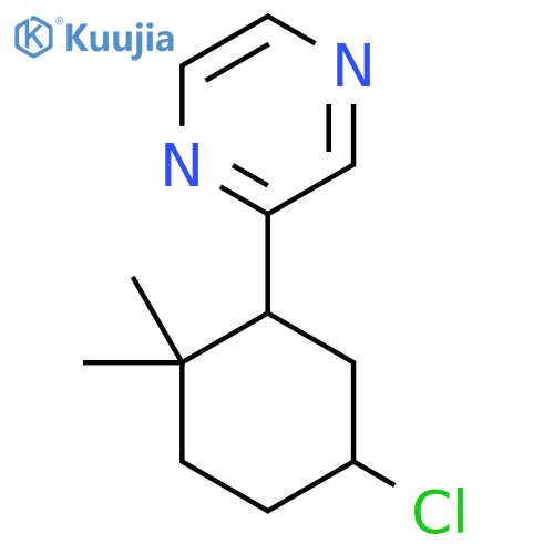 2-(5-Chloro-2,2-dimethylcyclohexyl)pyrazine structure