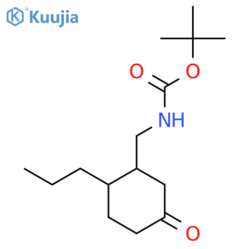 tert-butyl N-[(5-oxo-2-propylcyclohexyl)methyl]carbamate structure