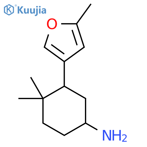 4,4-Dimethyl-3-(5-methylfuran-3-yl)cyclohexan-1-amine structure