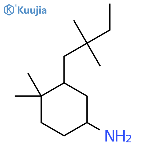 3-(2,2-Dimethylbutyl)-4,4-dimethylcyclohexan-1-amine structure
