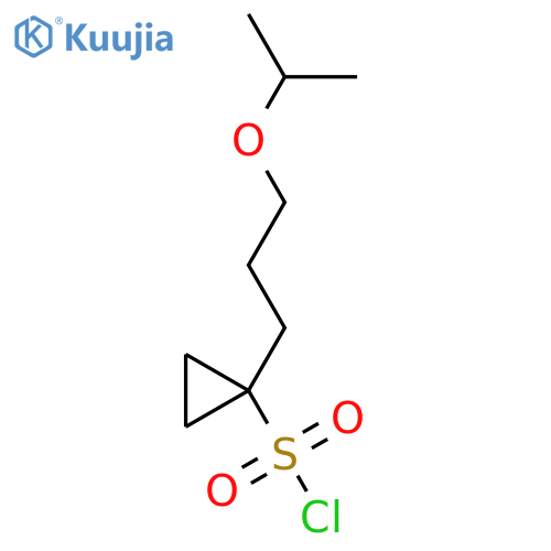 1-3-(propan-2-yloxy)propylcyclopropane-1-sulfonyl chloride structure