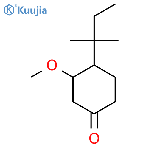 3-Methoxy-4-(2-methylbutan-2-yl)cyclohexan-1-one structure