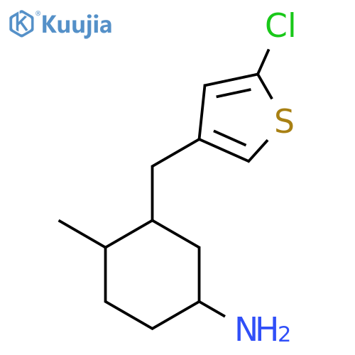 3-[(5-Chlorothiophen-3-yl)methyl]-4-methylcyclohexan-1-amine structure