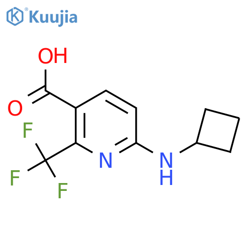6-(cyclobutylamino)-2-(trifluoromethyl)pyridine-3-carboxylic acid structure