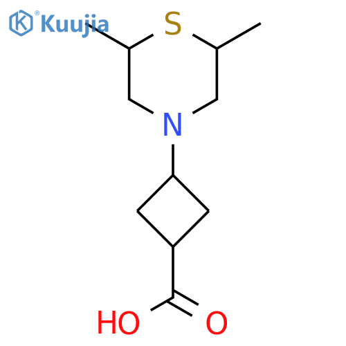 3-(2,6-dimethylthiomorpholin-4-yl)cyclobutane-1-carboxylic acid structure