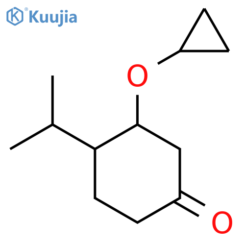 3-Cyclopropoxy-4-(propan-2-yl)cyclohexan-1-one structure