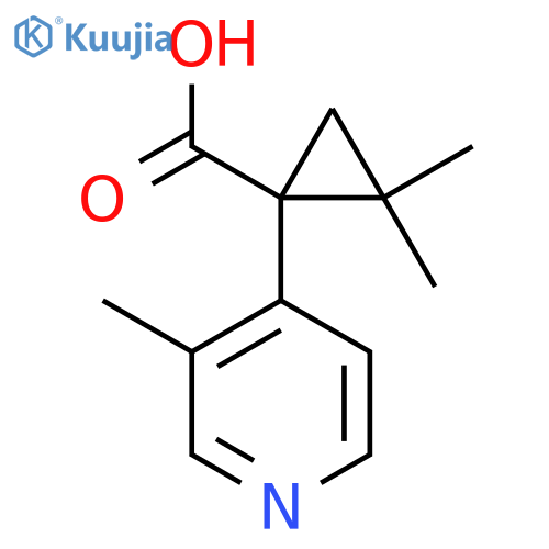 2,2-dimethyl-1-(3-methylpyridin-4-yl)cyclopropane-1-carboxylic acid structure