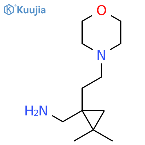 {2,2-dimethyl-1-2-(morpholin-4-yl)ethylcyclopropyl}methanamine structure