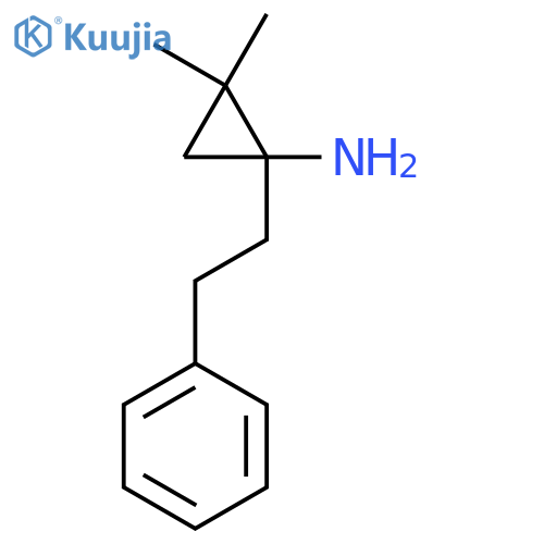 2,2-dimethyl-1-(2-phenylethyl)cyclopropan-1-amine structure
