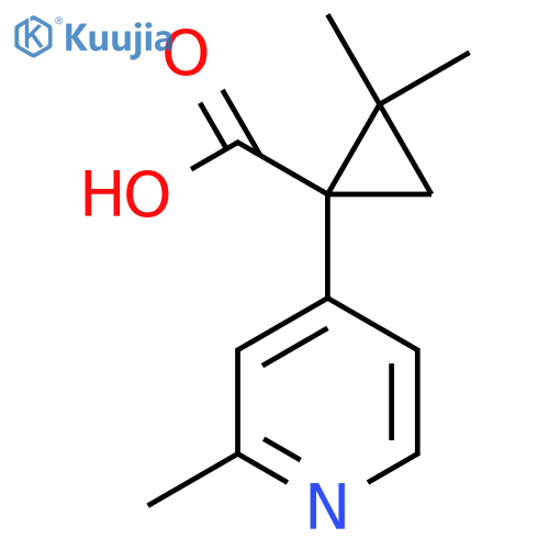 2,2-dimethyl-1-(2-methylpyridin-4-yl)cyclopropane-1-carboxylic acid structure