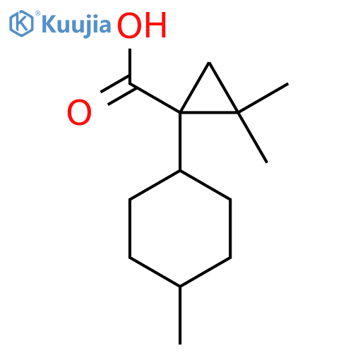 2,2-dimethyl-1-(4-methylcyclohexyl)cyclopropane-1-carboxylic acid structure