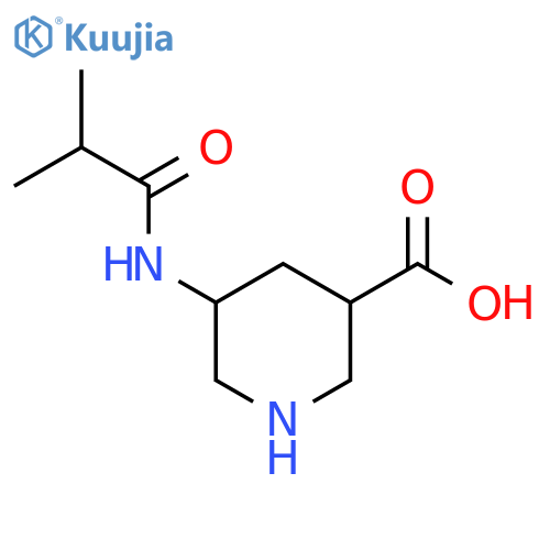 5-(2-methylpropanamido)piperidine-3-carboxylic acid structure