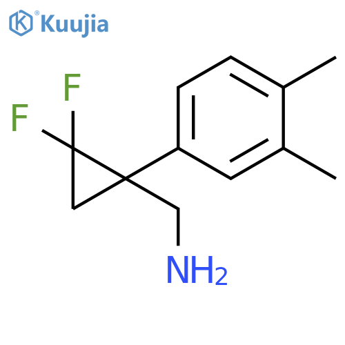 Cyclopropanemethanamine, 1-(3,4-dimethylphenyl)-2,2-difluoro- structure
